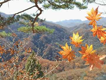 伊朗：美在叙利亚一军事基地遭袭击,伊朗在叙利亚打击美军基地